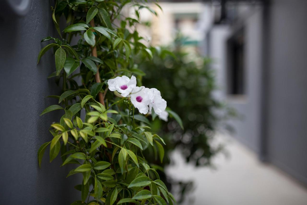 Spacious Flat With Courtyard And Private Parking! Atenas Exterior foto